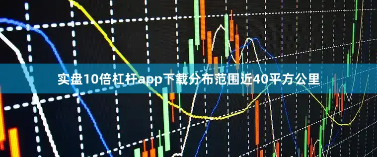 实盘10倍杠杆app下载分布范围近40平方公里